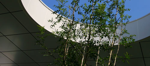 ロケーション画像